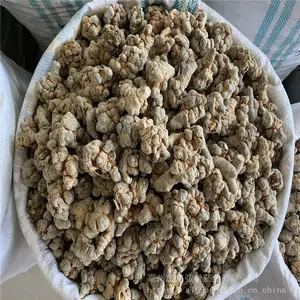 ���ߡ����ߡ����ߡ������ߡ����������� ���߼۸��Ż�