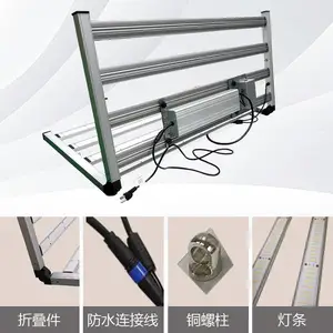 ���Ҵ���LEDֲ���-ȫ���״��ʿ��۵��ɲ�ж