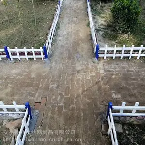 ���ղ�ƺΧ�� �ֵ���̳������ ��԰����С����