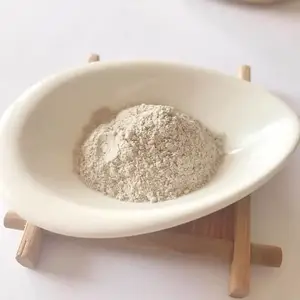 车前子壳粉厂家 圆苞浓缩粉提取物 食品级用途