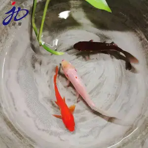�����ƹ���ۺ���ˮ���ˮͿ���������ˮ��©����js��ˮͿ��