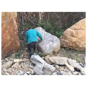 深圳泰山石 园林泰山石图片 庭院造景石名富奇石场