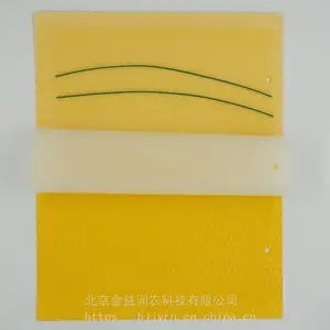 �ճ�� ճ�� �ư� ���� ȫ����