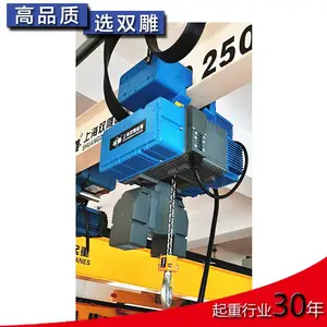 ��ʽ�綯��« ��Ƶ˫�� 125����250���� �������غ�«������ŷʽ