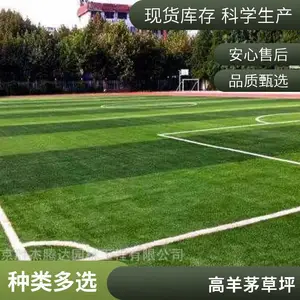 昌平草坪铺装园林绿化混播草坪出售户外