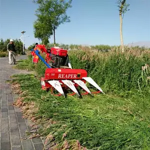 �ո����߸���͸�ɹ�� �����ջ��ɹ�� ���ײ��ո��