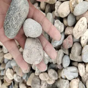 ��ѹ������ ���������ö���ʯ ͥԺ���� ��ֲ���� diy�ֻ滭