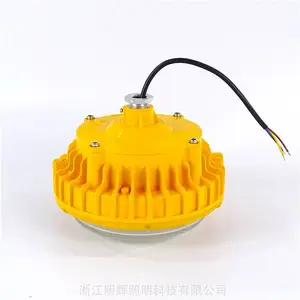 防爆LED吊杆灯1x40W AC220V厂房车间照明LED防爆灯具