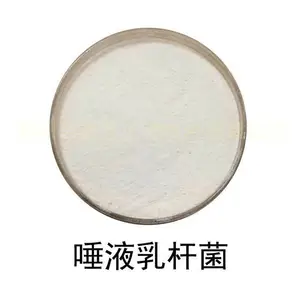 唾液乳杆菌-冻干型乳酸菌粉 食品级调理型益生菌原料