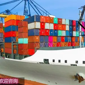 �¼��º���ר�� ��������˫����ŵ��� ���˰��޿��