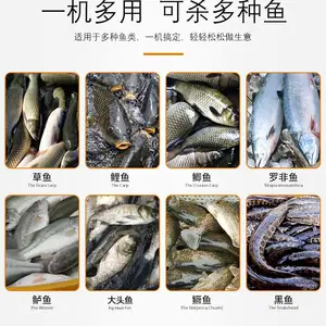 全自动杀鱼机-杀鱼开肚刮鳞7秒搞定
