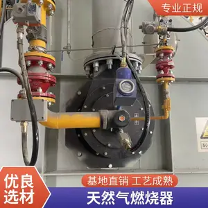 岱鼎焦炉煤气燃油燃烧机燃烧系统热镀锌阳极炉焚烧源头厂家