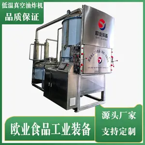 节能型真空低温油炸设备 全自动控温油炸机 菠萝蜜香蕉片