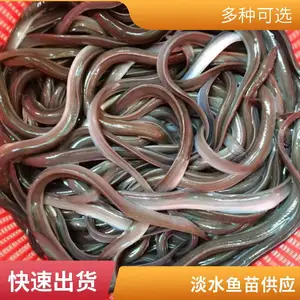 �۷�ˮ�� ���������� ��ˮ������ ������ǿˮ����ֳ�����泡ֱ��