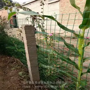 ��ɫ������˿�� ***������ ��ֳ������