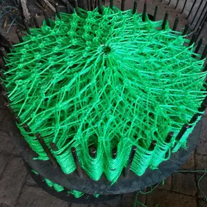 ������������������ ���Ǿ���ϩ������ ������Ҥ����׹��