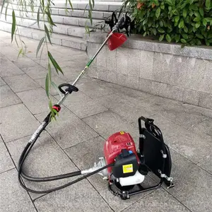 ��***�ݻ� С��§�ݻ� �βݻ�����