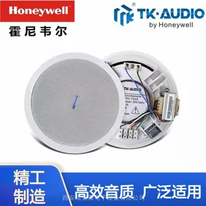 ����Τ���ڸ�����㲥ϵͳ���Ͽ�ŷTK-AUDIO�������ֹ��������豸