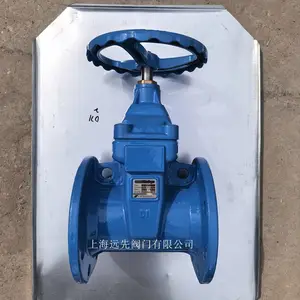 Conex|Banninger班尼戈暗杆软密封闸阀RVHX-DN100 PN16法兰连接