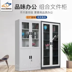 拆装钢制资料柜宇龙办公室移门文件柜对开门器械柜简约