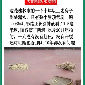 手工聚脲上门施工-匹匹梯(在线咨询)-保定聚脲