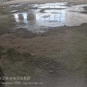 �麣�������������淭�� �ɵ��淭�� ˮ���Ӳ��