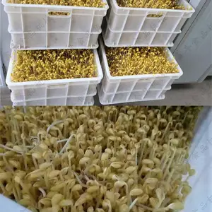 ����ȫ�Զ���ѿ���豸 �๦�ܴ��Ͷ�ѿ�������� С����ҵ