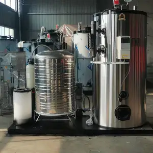 300kg������¯LHS0.3-0.09-YQ��ʽ�ϳ���ȼ����������������ˮ����