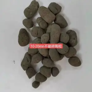 ���������� ����ֱӪ ����***