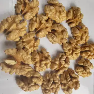 185���ͷ·�����ʳ��� ���깩Ӧ ������� ��ó�������̼�
