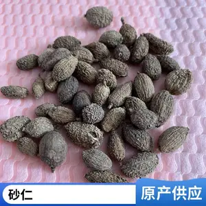 ��ɳ����ҩ ҩʳͬԴ��Ѭ��Ʒ��***������������ֱ��ȫ������
