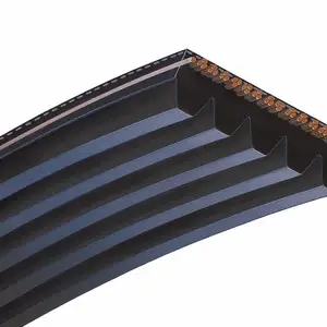 ����ھ������Ƥ�� 8PK1630�յ�Ƥ�� ��֮������Ƥ��
