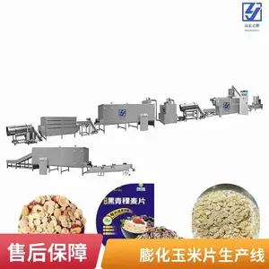 ����˫�ݸ˼�ѹ������Ƭ�豸 ľ����͹�����Ƭ�����߳��ڿ�����