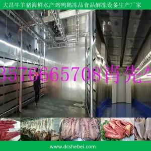 小型猪肉低温高湿解冻设备