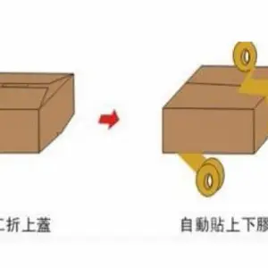 上海全自动开箱机生产商 和谐共赢 杭州贝立智能设备供应