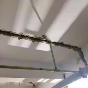 临沂市钢铁厂污水池墙壁漏水堵漏施工设备