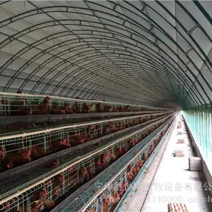 建设养鸡大棚 养鸡场鸡棚搭建 肉鸡大棚施工安装