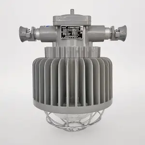 DGS50/127L矿用隔爆型LED巷道灯50W矿用防爆灯圆形