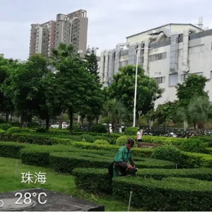 东莞卫生物业工作 贴心服务 美居庭环境科技供应