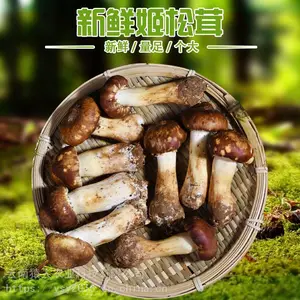 高原食材 姬松茸泡沫箱1.5公斤 净重2斤 酒店 餐饮 家庭 一件代发