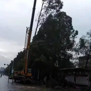 ��ݸרҵ�������������������������߿��޼���֦���޼��̻���