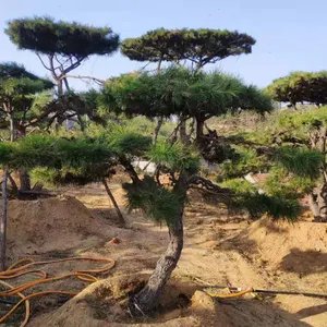1������1.5�ס�1.8�ס�2�����;��ɡ�3��-4�����;���