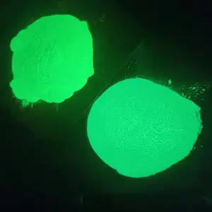 ҹ��� �����̹� ���̹� ����ӫ��۷���ʱЧ�����ȸ�