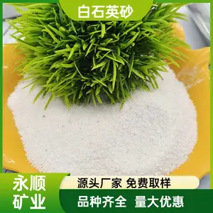 10-120目精品白色石英砂供应 净水处理滤料 磨料 冶金