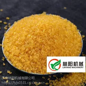 黄金米设备，玉米杂粮米设备，速食设备