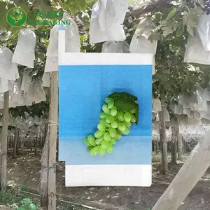 �³���������õ�����ѣ����������״����ư�ɫ�����״�