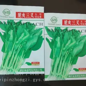 脆爽三叉空心菜大叶，叶片为长卵圆型，茎杆半青白，茎底部有分叉