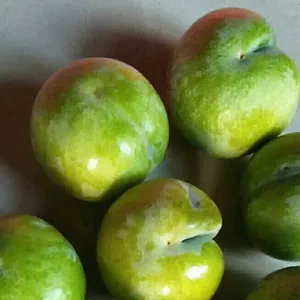 �Ĵ���������������2019���Ĵ������������籨��