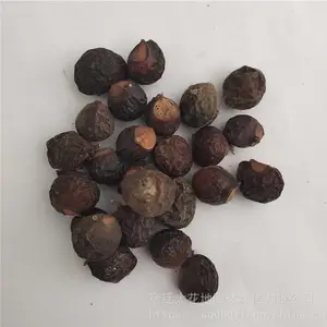 �²���ľ���� �޻������� ��ѿ*** �۸���� ***