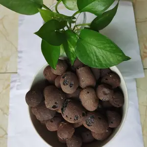 轻质陶粒批发商 南昌1-3公分